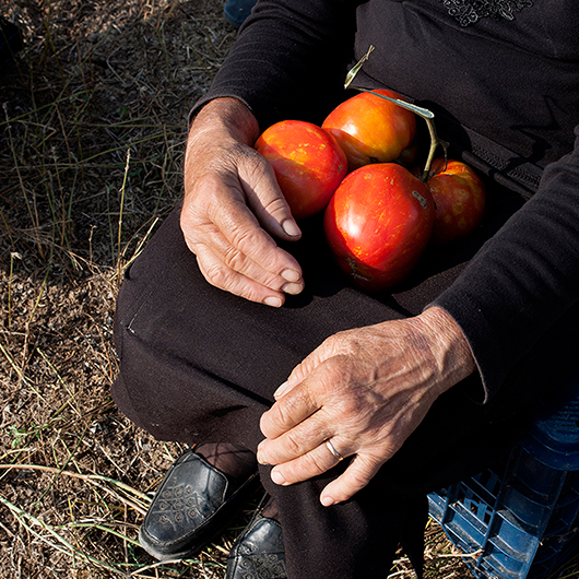 When Tomatoes Met Wagner